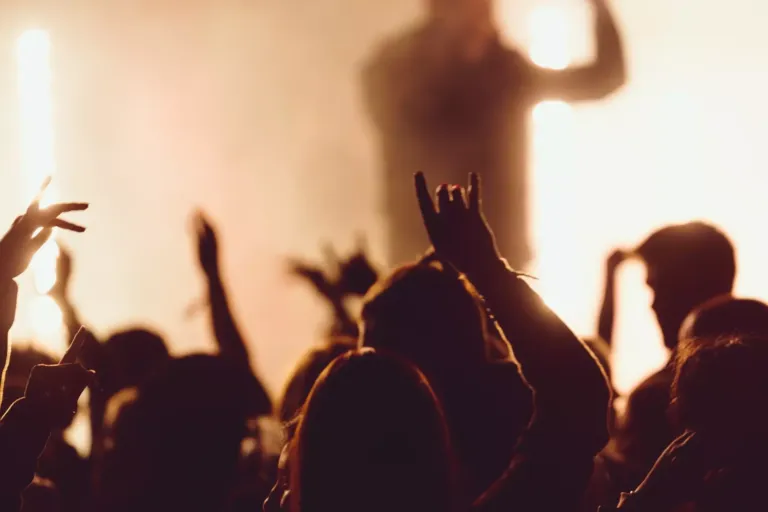 Público bailando en un concierto